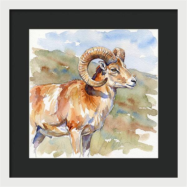 Urial In Watercolor Splendor