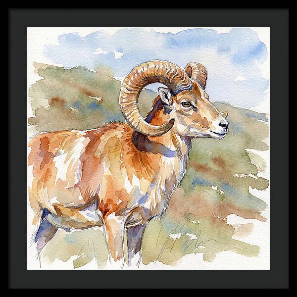 Urial In Watercolor Splendor