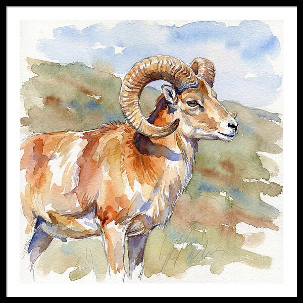 Urial In Watercolor Splendor