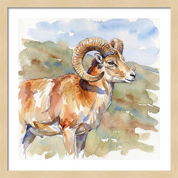 Urial In Watercolor Splendor