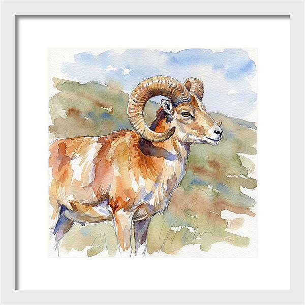 Urial In Watercolor Splendor