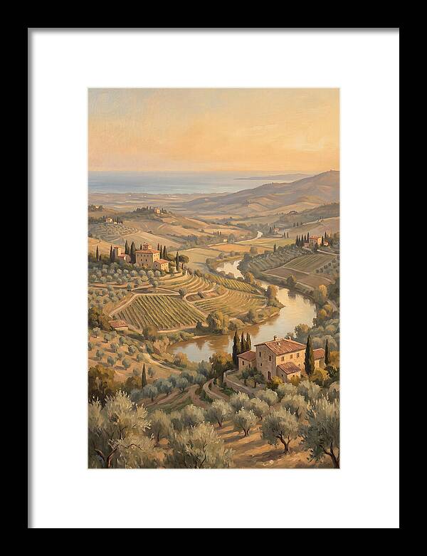 Valley View Overlooking Olive Groves