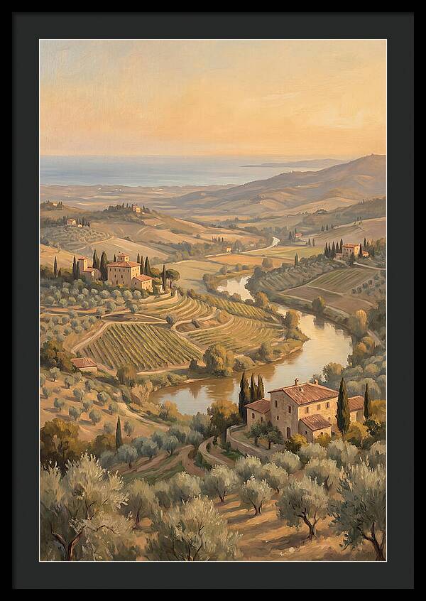 Valley View Overlooking Olive Groves