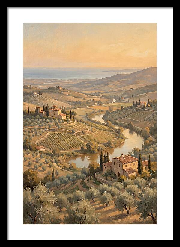 Valley View Overlooking Olive Groves