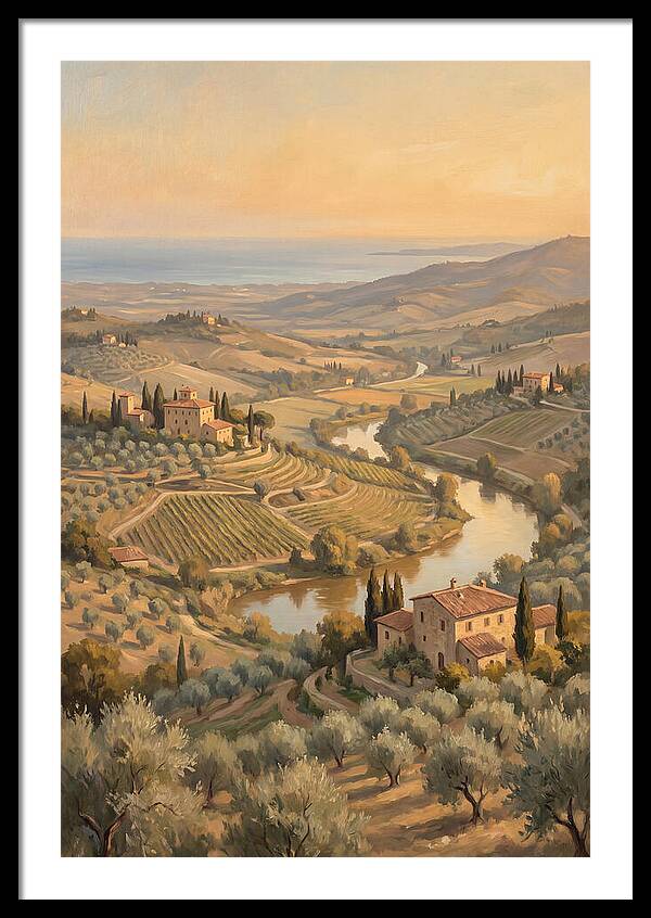 Valley View Overlooking Olive Groves