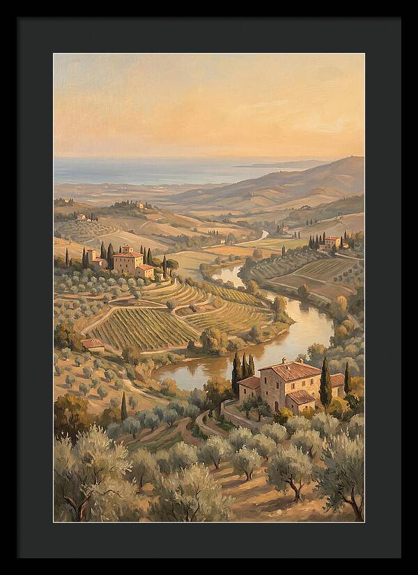 Valley View Overlooking Olive Groves