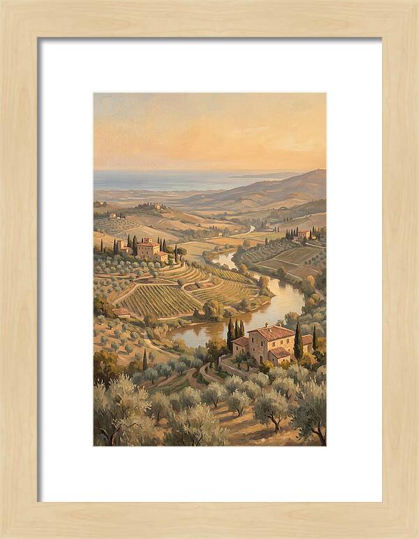 Valley View Overlooking Olive Groves