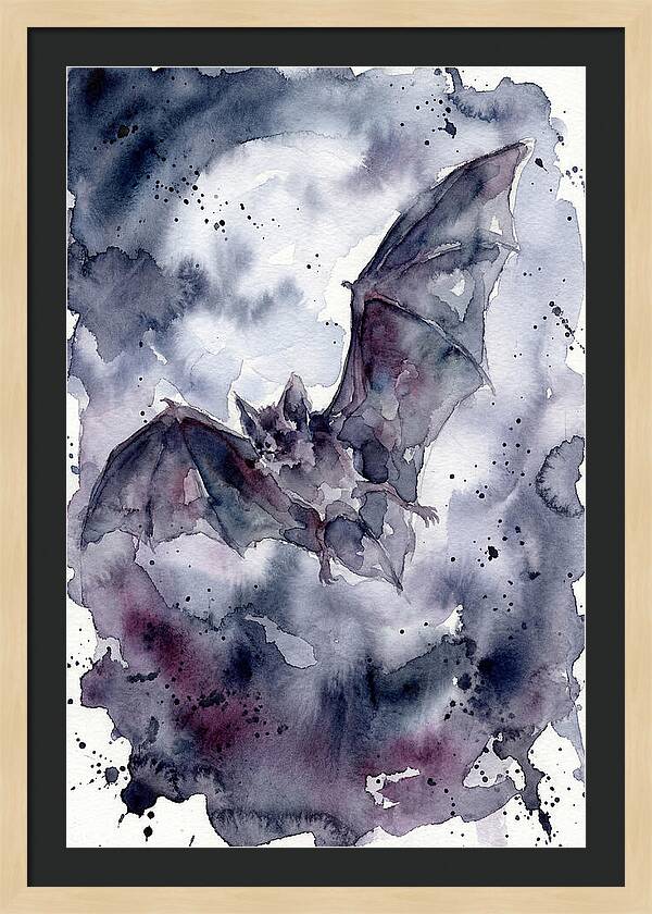 Vampire Bat In Flight