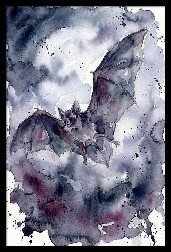 Vampire Bat In Flight