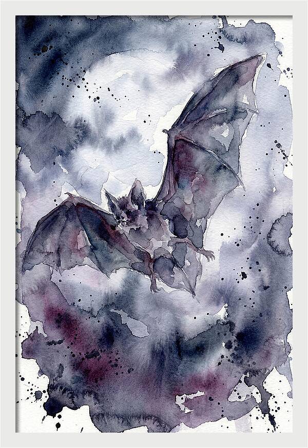Vampire Bat In Flight