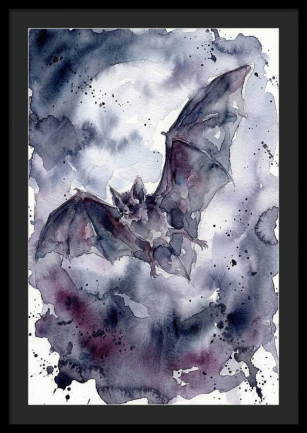 Vampire Bat In Flight