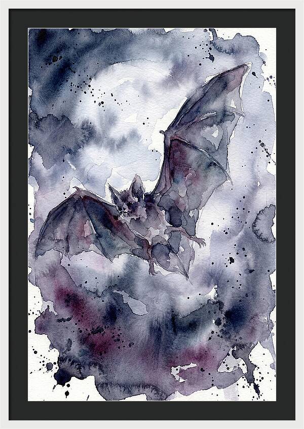 Vampire Bat In Flight