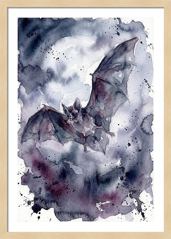 Vampire Bat In Flight
