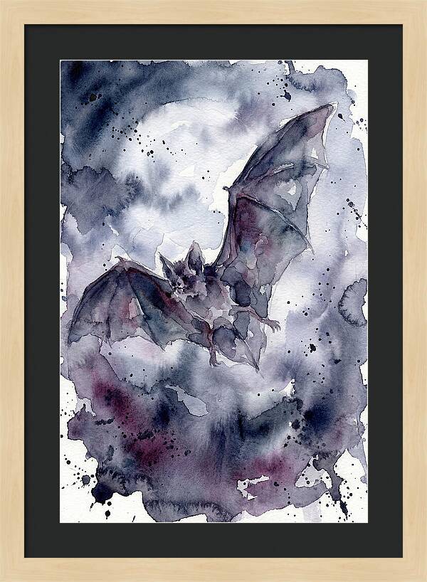 Vampire Bat In Flight