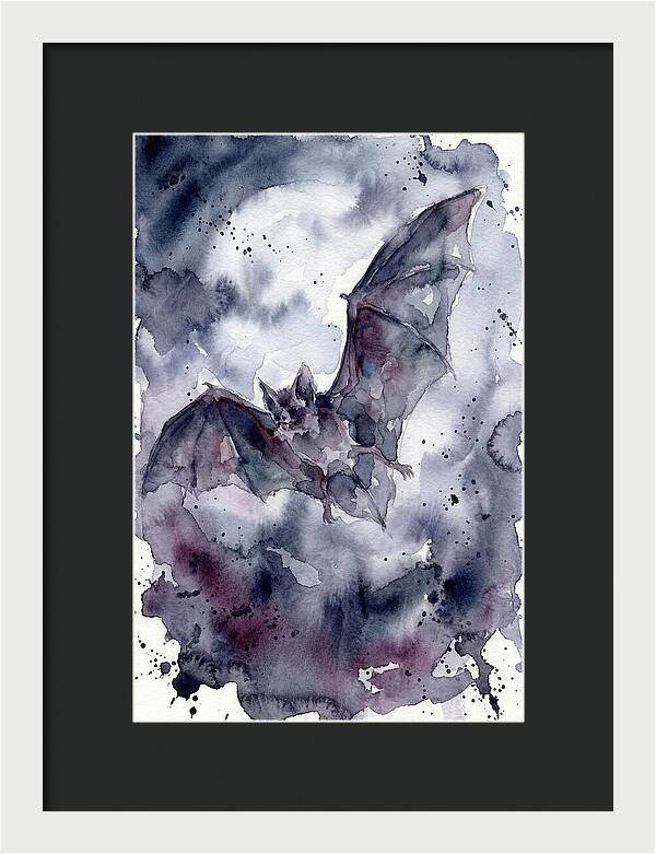 Vampire Bat In Flight