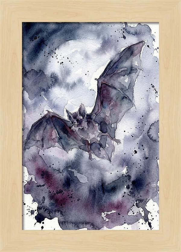 Vampire Bat In Flight