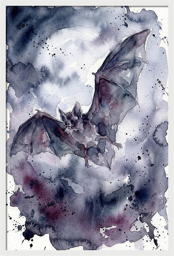 Vampire Bat In Flight
