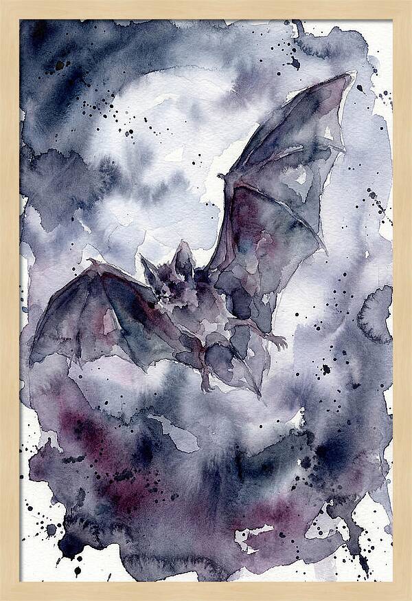 Vampire Bat In Flight