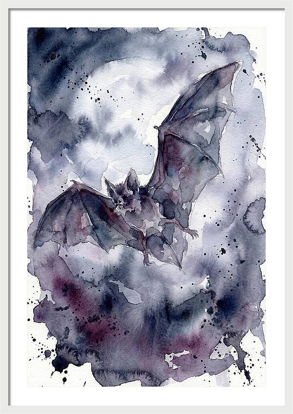 Vampire Bat In Flight