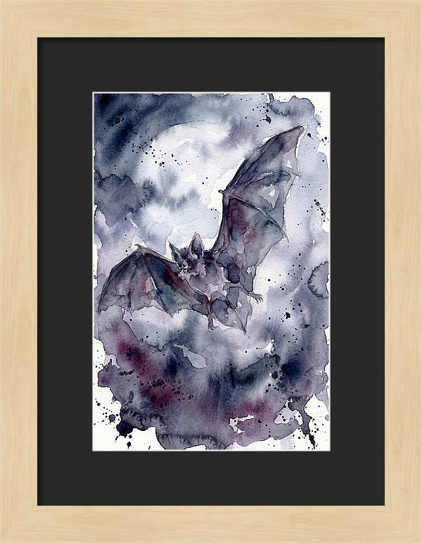 Vampire Bat In Flight