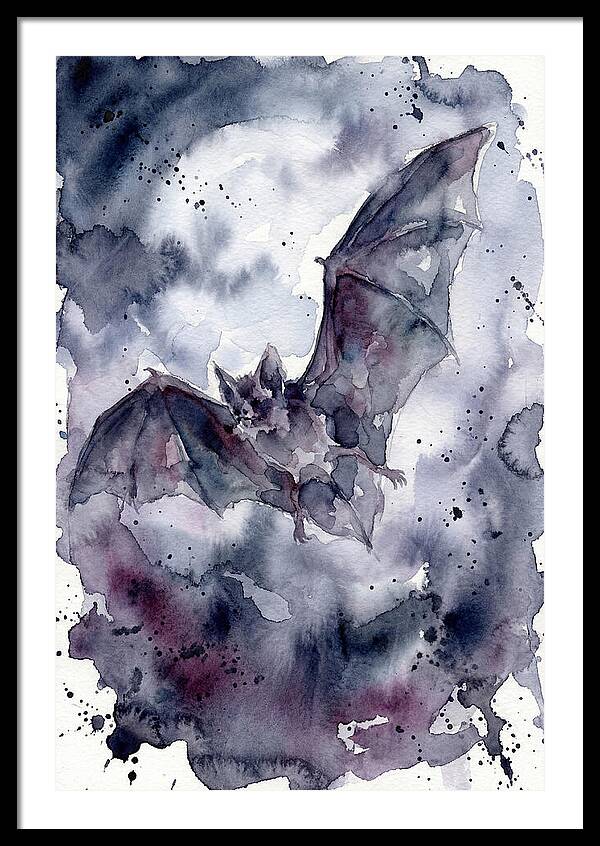 Vampire Bat In Flight