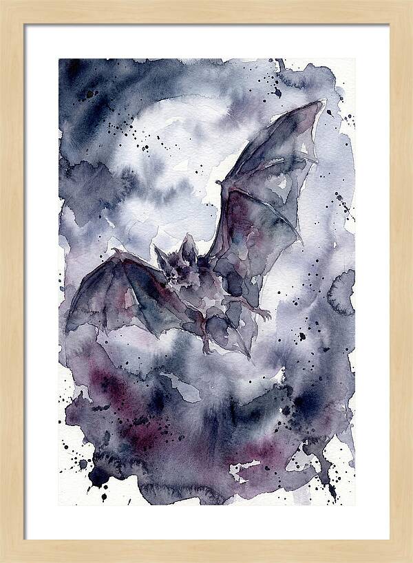Vampire Bat In Flight