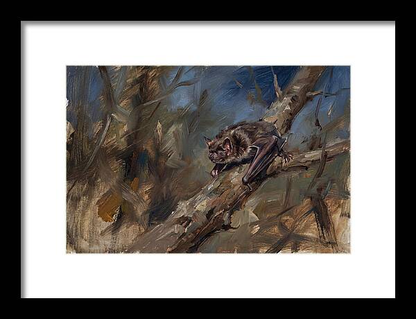 Vampire Bat In Nature