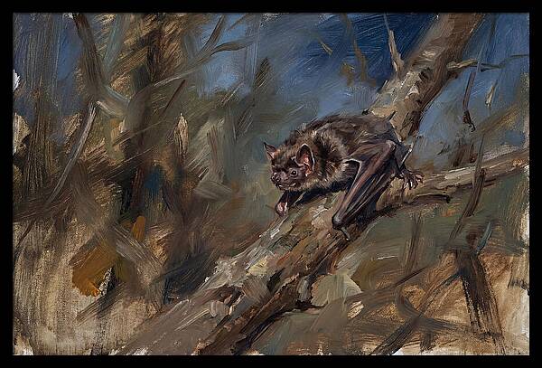 Vampire Bat In Nature