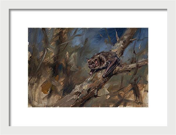 Vampire Bat In Nature