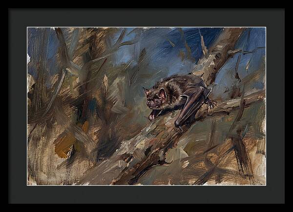 Vampire Bat In Nature