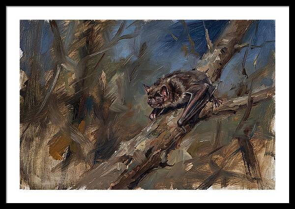 Vampire Bat In Nature
