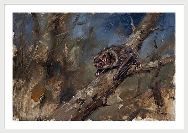 Vampire Bat In Nature