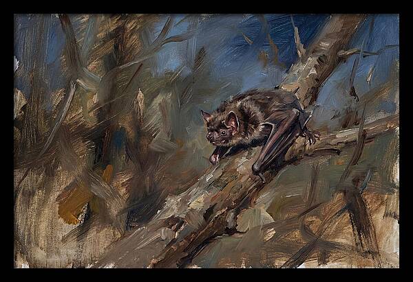 Vampire Bat In Nature