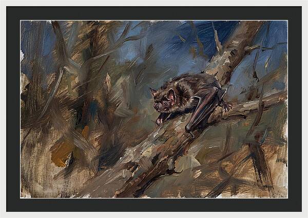 Vampire Bat In Nature