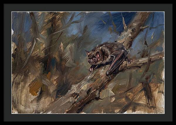 Vampire Bat In Nature
