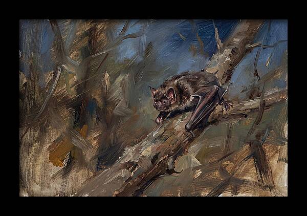 Vampire Bat In Nature