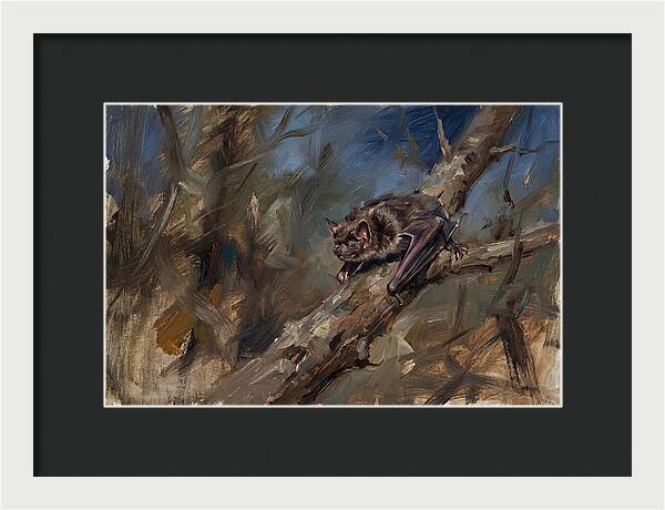 Vampire Bat In Nature