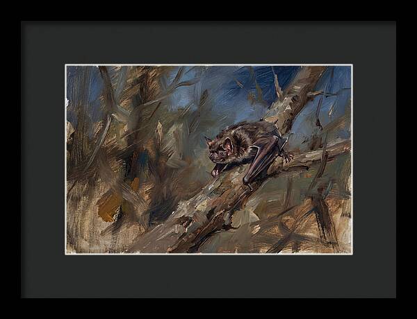Vampire Bat In Nature