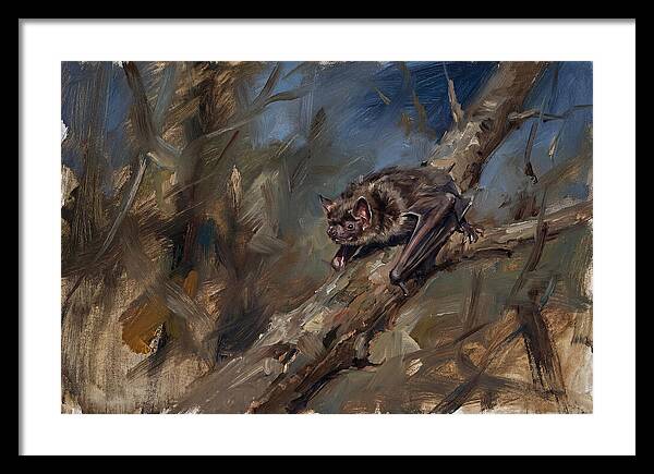 Vampire Bat In Nature