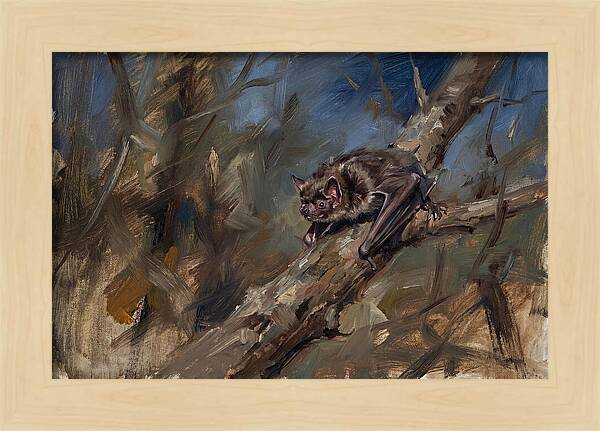Vampire Bat In Nature