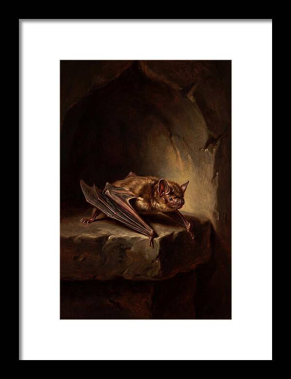 Vampire Bat In Realism