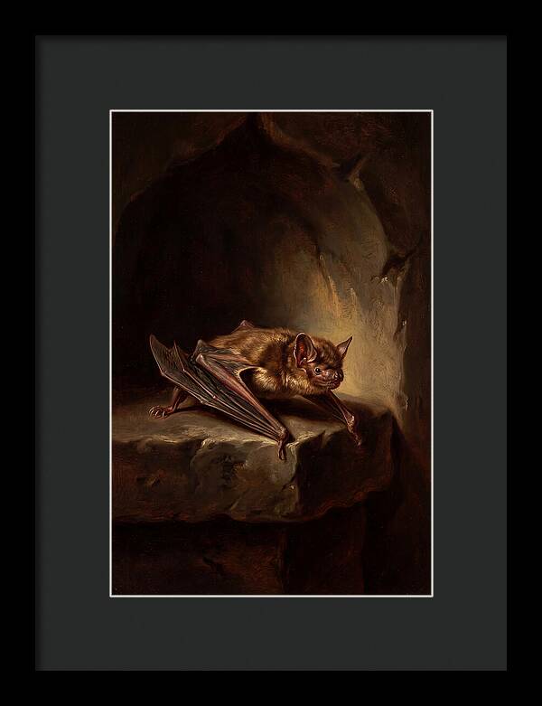 Vampire Bat In Realism