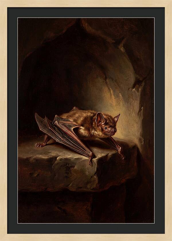 Vampire Bat In Realism