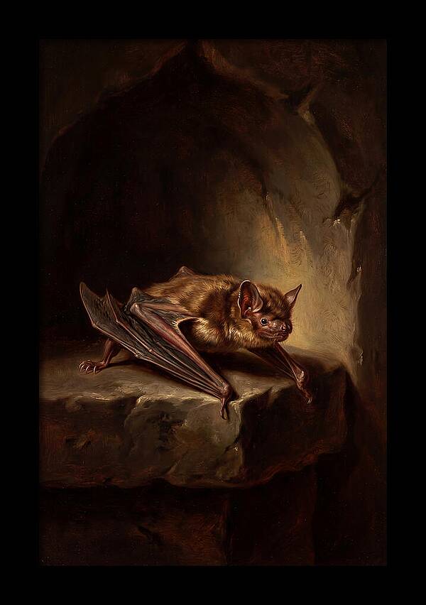 Vampire Bat In Realism