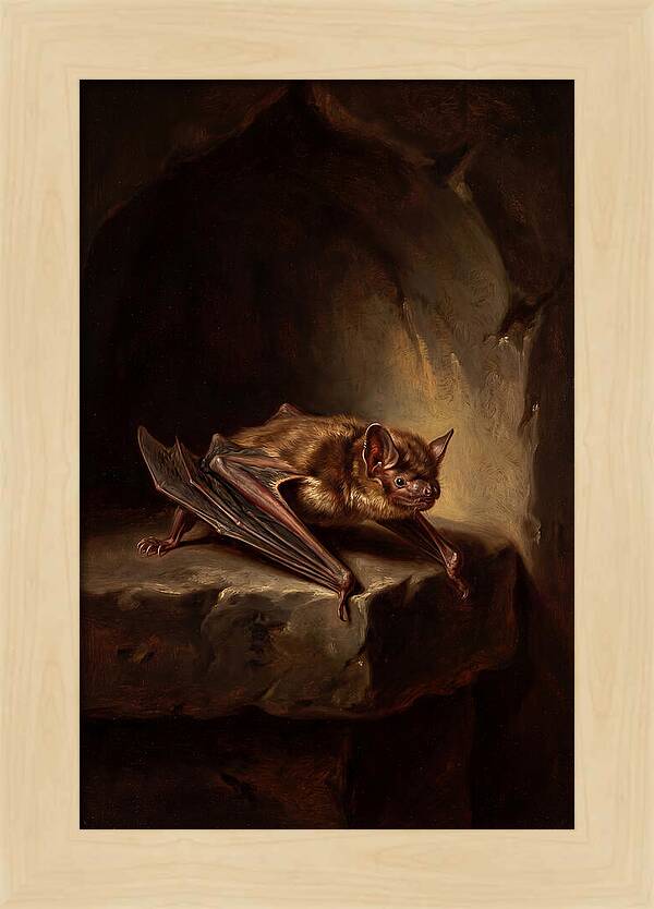 Vampire Bat In Realism