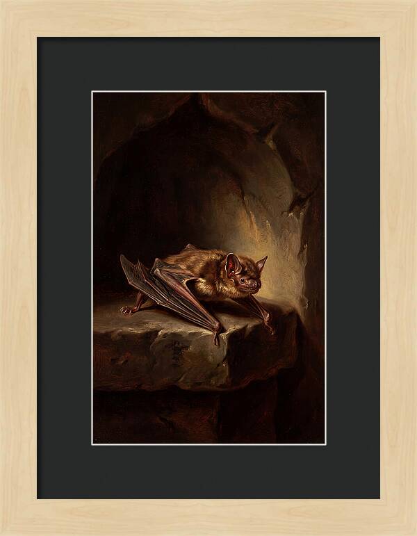Vampire Bat In Realism
