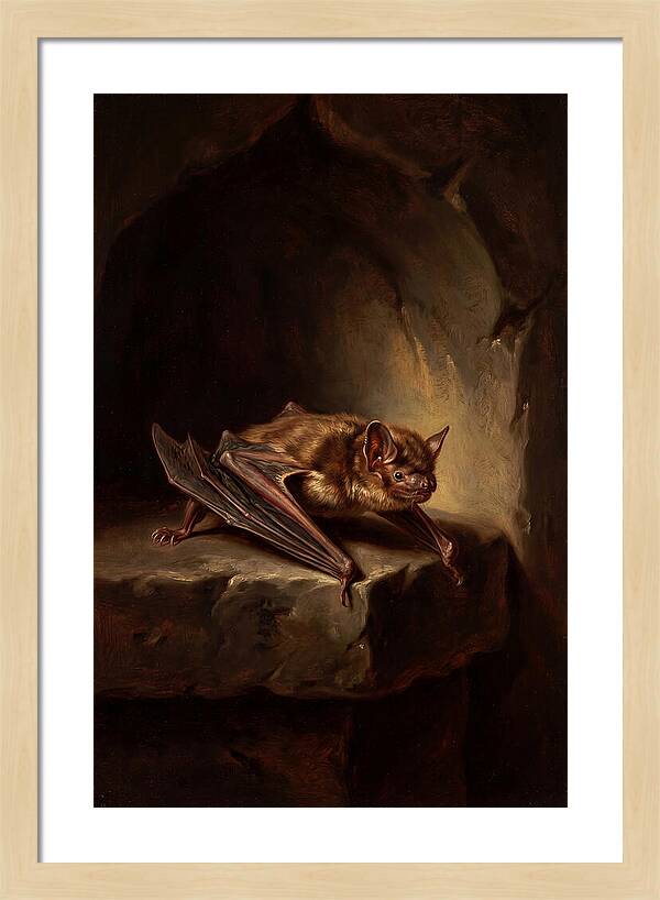 Vampire Bat In Realism