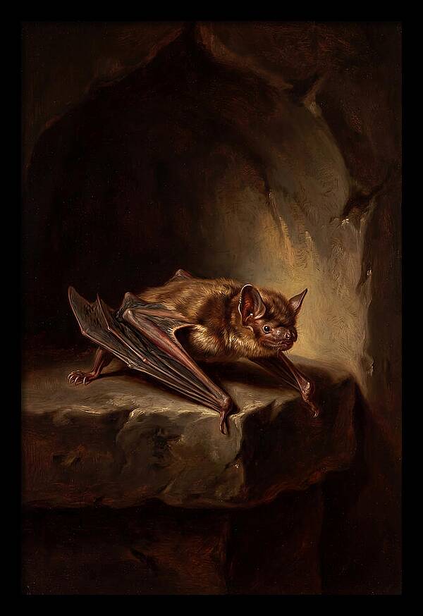 Vampire Bat In Realism