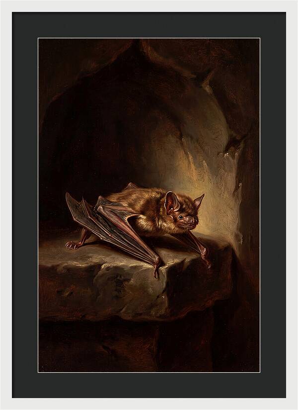 Vampire Bat In Realism