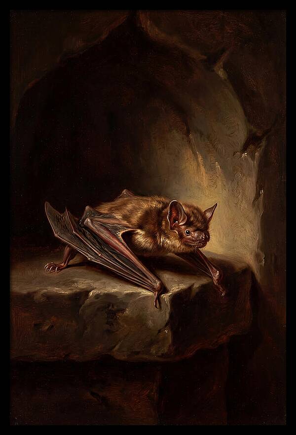 Vampire Bat In Realism